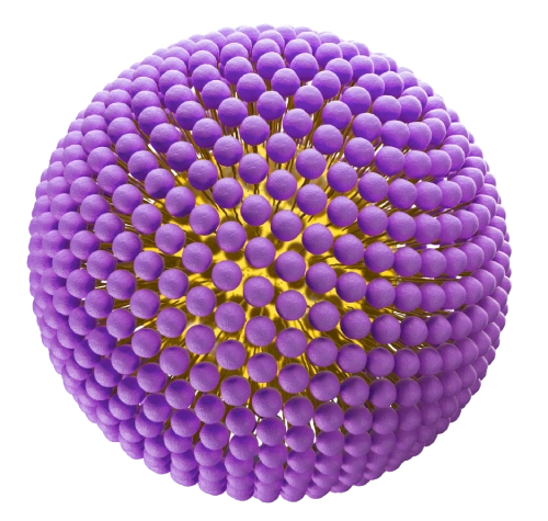 Nutrivehicle purple (1) Nutrivehicle purple